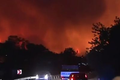 Лесной пожар вплотную подобрался к ТЭЦ в Турции