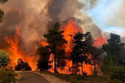 Россия увеличит помощь Греции в борьбе с пожарами
