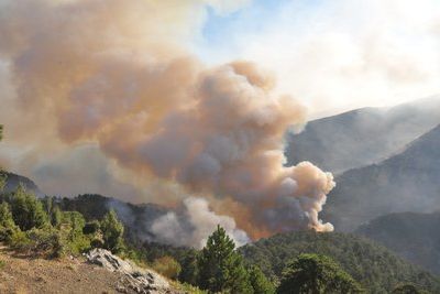 Турция почти справилась с лесными пожарами