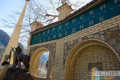 Тебердинский природный заповедник поменял статус в Карачаево-Черкесии