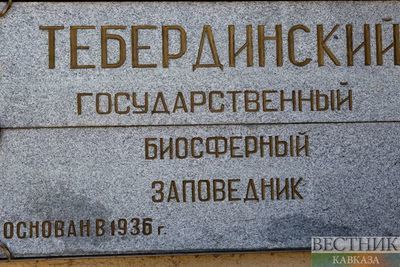 Тебердинский нацпарк отдан в ведение Минприроды РФ