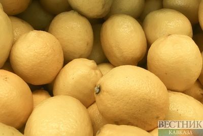 Узбекские лимоны будут экспортировать в Китай