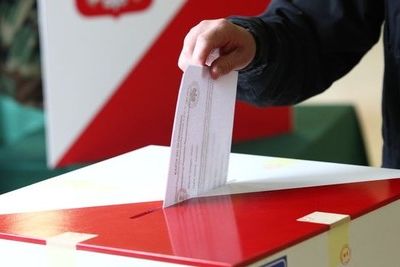 Наблюдательная миссия Европарламента проследит за муниципальными выборами в Грузии