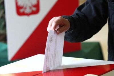 &quot;Грузинская мечта&quot; выиграла местные выборы на 46,65%