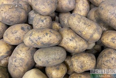 Россия обогнала Азербайджан в списке главных импортеров картофеля из Грузии