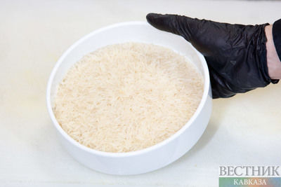 В Дагестане запустят новый завод по переработке риса