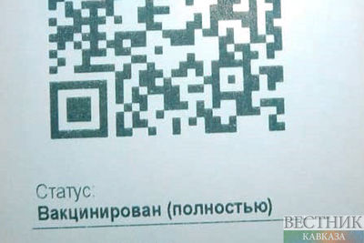  QR-коды в кафе и торговых центрах Петербурга начнут требовать со 2 января