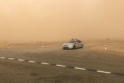 В Ташкентскую область нагрянет пыльная мгла