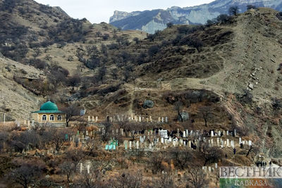 Причину гибели десятков туров выясняют в Дагестане