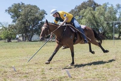 Новый вид конного спорта будут развивать в Узбекистане