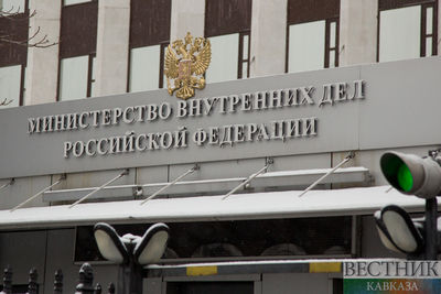 В Москве почти сошло на нет интернет-мошенничество – МВД России