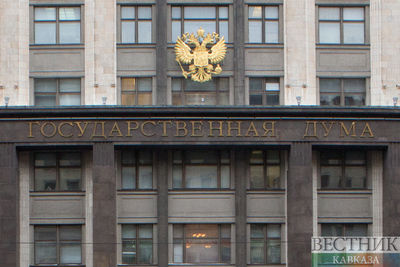 Госдума завтра рассмотрит проект об упрощении получения гражданства РФ