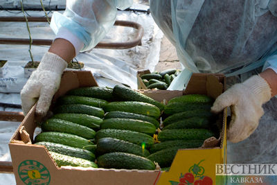 Российские аграрии в этом году получат беспрецедентную поддержку от государства