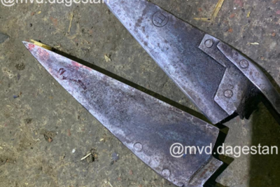 Житель Дагестана ранил односельчанина в драке ножницами для стрижки скота