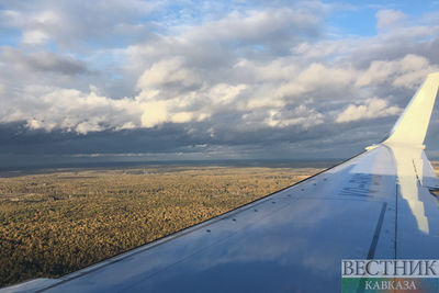 Летевший в Москву самолет экстренно сел в Новосибирске из-за неисправности