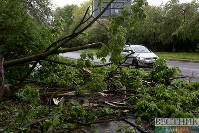 Жителей Астраханской области предупредили о грозе и сильном ветре