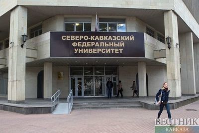 В СКФУ открылся Центр российско-арабской культуры 