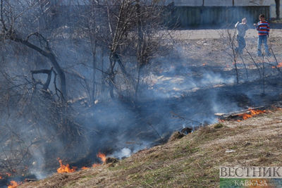 Казахстанским огнеборцам удалось остановить масштабный лесной пожар
