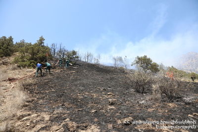 Пожар начался во время противопожарных учений в заповеднике в Армении