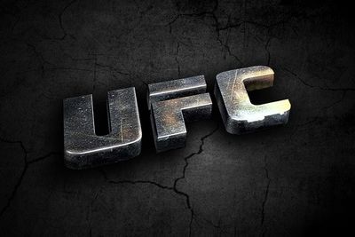 Грузинский боец победил легенду UFC