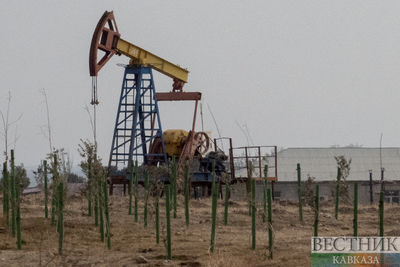 Вучич: Сербия с 1 ноября останется без российской нефти из-за санкций