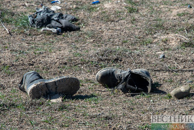 Армения признала гибель 207 военных в боях на границе с Азербайджаном