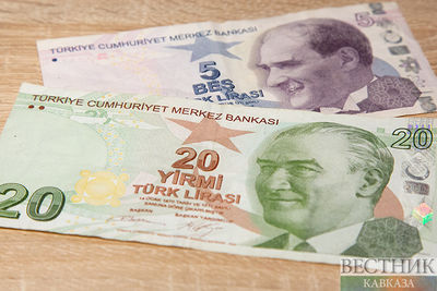 Турецкая лира достигла очередного минимума 