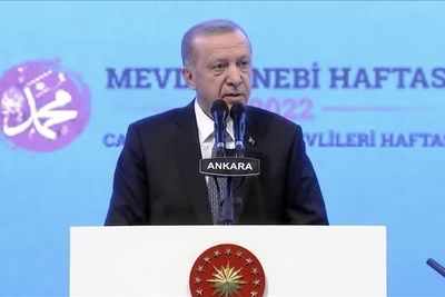 Эрдоган: Турция готова защитить свои интересы
