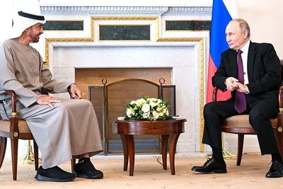 Вдобавок к Эрдогану: Эмиратский шейх готов стать посредником между Путиным и Байденом 