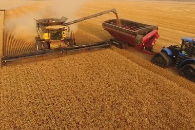 Рекорд по урожаю зерна в России 2022