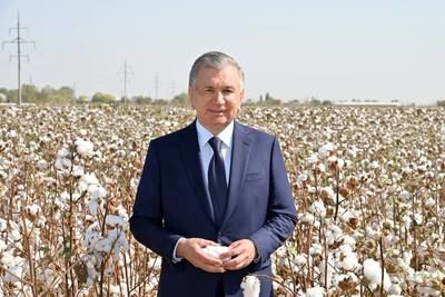 Новый Узбекистан: спокойствие прежде всего