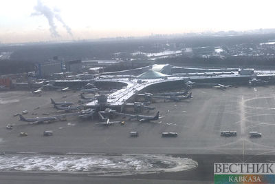 Максимальный уровень угрозы терактов ввели в трех аэропортах Москвы