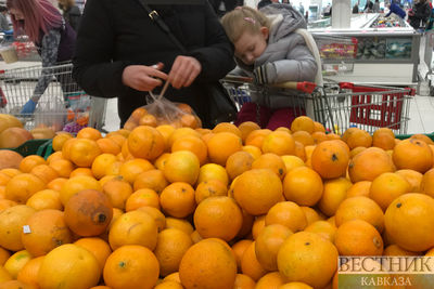 Абхазия готова наращивать поставки в Россию цитрусовых и меда