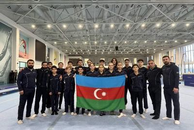 Гимнасты из Азербайджана завоевали &quot;золото&quot; Всемирных соревнований среди возрастных групп