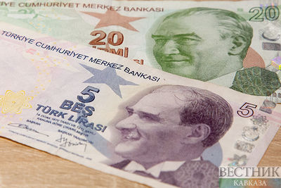 В Турции назвали объем резервов Центробанка