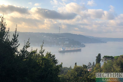 В Турции опровергли пробки с танкерами у пролива Босфор
