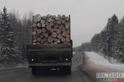 Казахстан вновь запретил вывоз дерева
