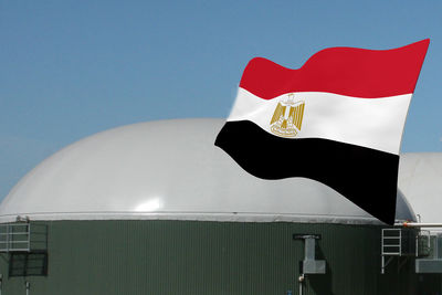 В поисках чистой энергии Египет внедряет биогазовые технологии