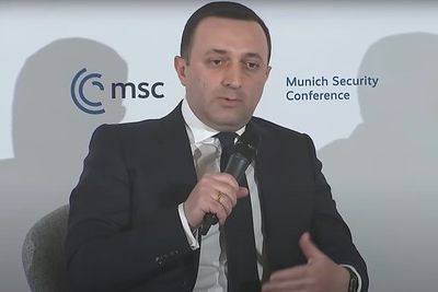 Ираклий Гарибашвили: Михаил Саакашвили вернулся в Грузию для революции