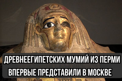 Древнеегипетских мумий из Перми впервые представили в Москве