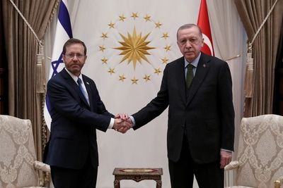 Эрдоган и Герцог обсудили эскалацию в секторе Газа