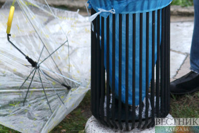 Женщина бросила зонт в Пашиняна