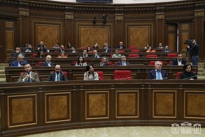 Оппозиционер спровоцировала драку в парламенте Армении