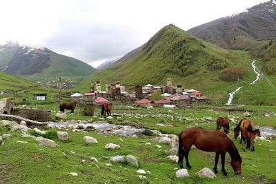 Самые красивые места в горах Грузии