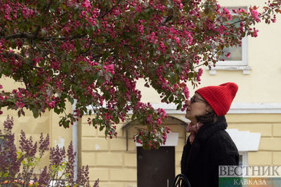 Москва весенняя: яблони и тюльпаны цветут в столице