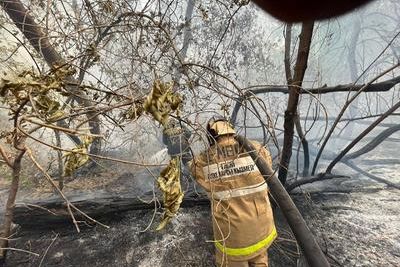 Смертоносный лесной пожар вырос вдвое в Казахстане