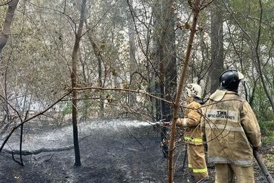 Лесной пожар в Абайской области: найдена еще одна жертва