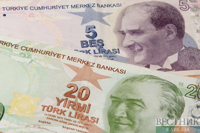 Турецкая лира упала до рекордного минимума
