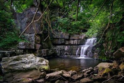 В Сочи Змейковские водопады открыли для туристов