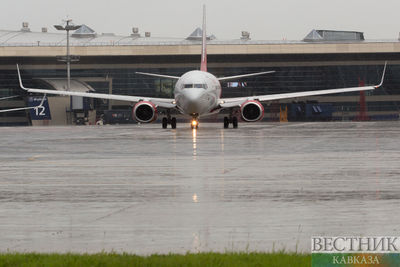 Попавшая в самолет птица не дала другому самолету вылететь из Еревана в Милан